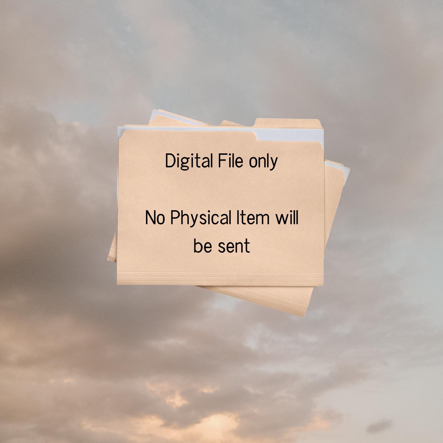 Digital Files