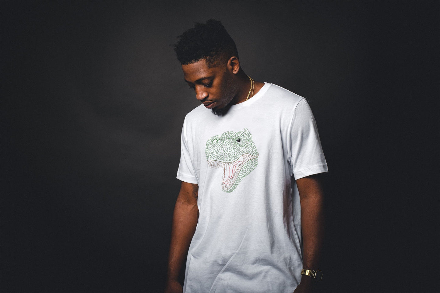 T-Rex Dinosaur Embroidered T-Shirt – Dino Head Design for Kids & Adults