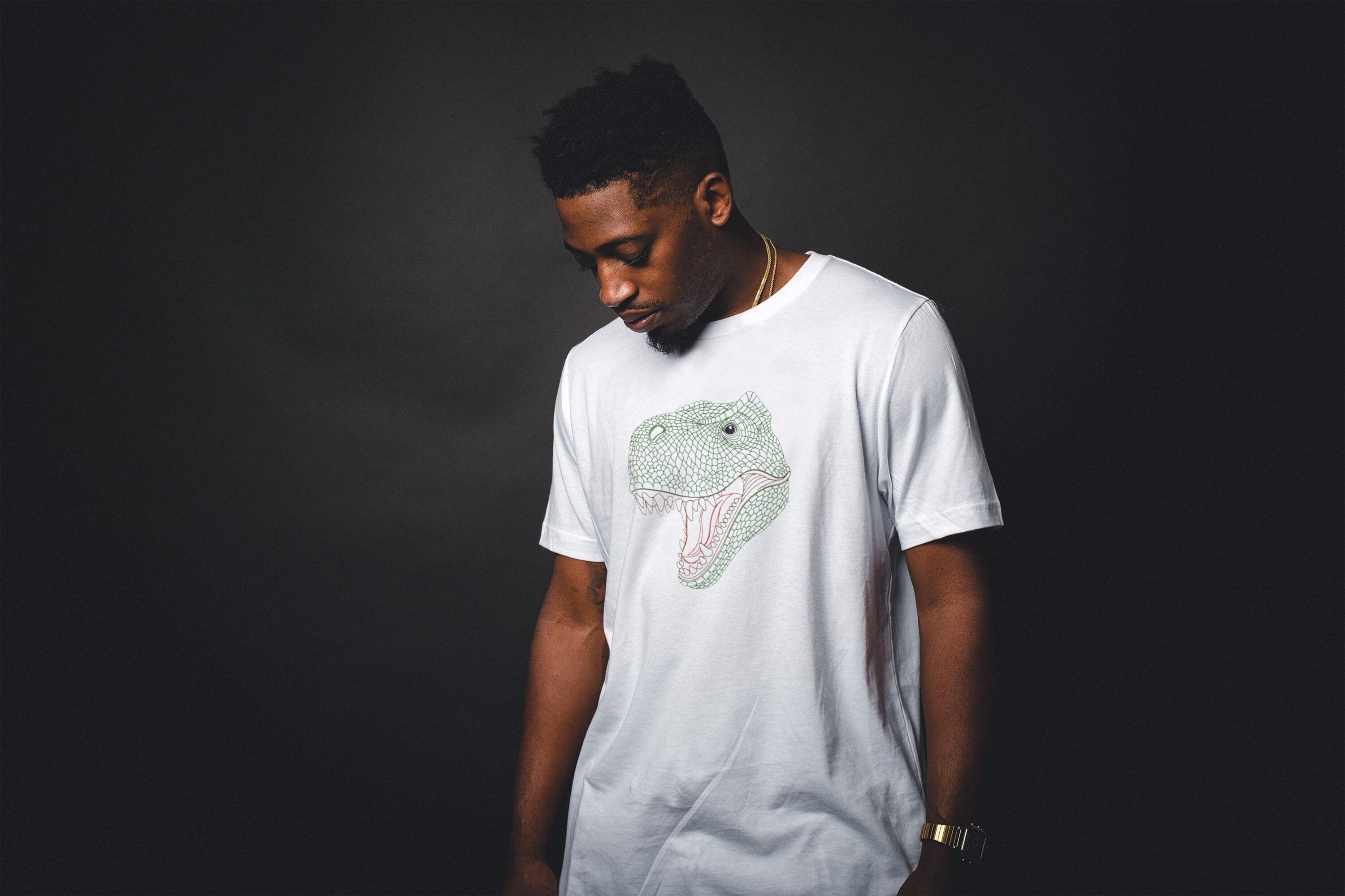 T-Rex Dinosaur Dino Head Embroidery Designed T-Shirt
